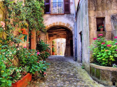 Gepflasterte Gasse mit schönen Blumen