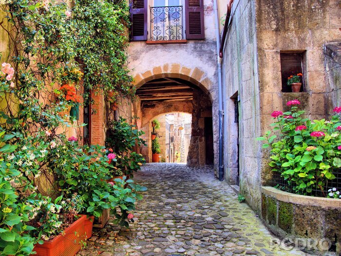 Fototapete Gepflasterte Gasse mit schönen Blumen