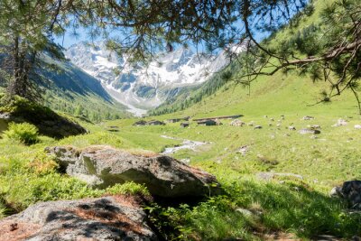 Fototapete Grün Steine und Berge