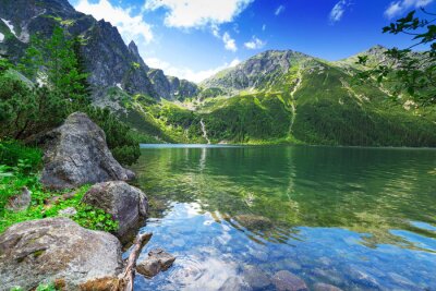 Fototapete Grün und Tatra-Gebirge