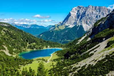 Fototapete Grüne Natur und Berge im Hintergrund