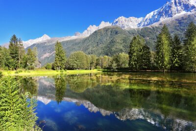 Fototapete Grüne Pflanzen und graue Berge