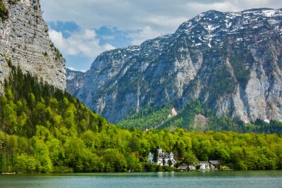 Fototapete Grüner Wald am Fuße der Berge