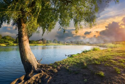 Landschaft Bäume und Flüsse