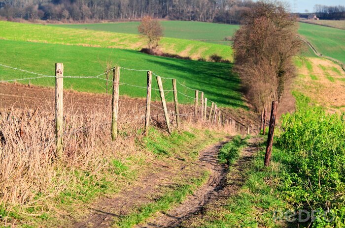 Fototapete Landschaft einer unbefestigten Straße