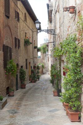 Lange Gasse mit Flora