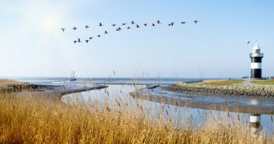 Fototapete Leuchtturm am Sommertag