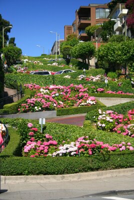 Fototapete Lombard Street in San Francisco