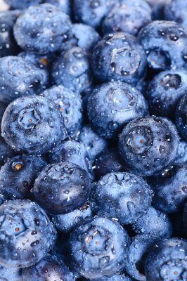 Fototapete Mit Wassertropfen bedeckte Heidelbeeren