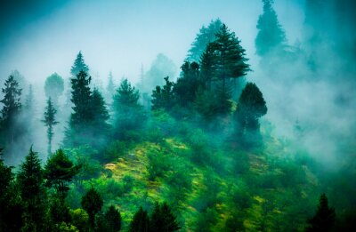 Fototapete Moderne landschaft mit wald