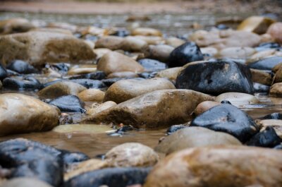 Fototapete Nasse Flusssteine