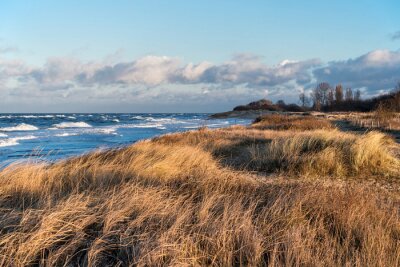 Fototapete Natürliches Feld und Meer