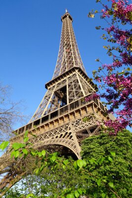 Fototapete Natur Blumen und Eiffelturm