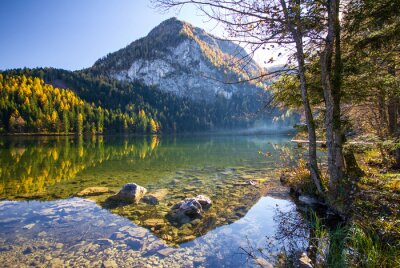 Natur im Gebirge