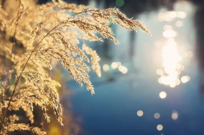 Fototapete Natur und Wasser