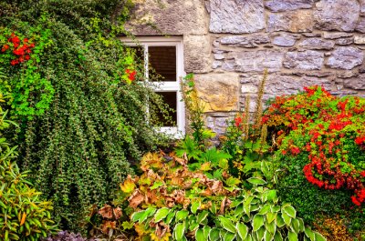 Fototapete Natur vor dem fenster