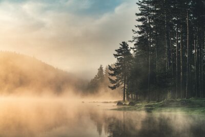 Fototapete Nebel über dem See