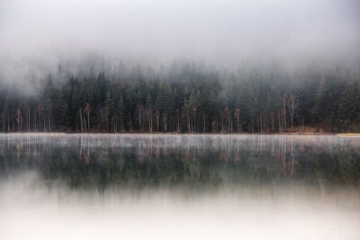 Fototapete Nebliger Morgen am See im Herbst