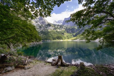 Panorama der Berge und des Grüns