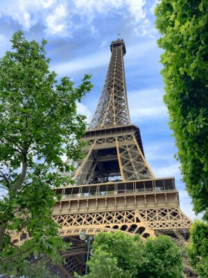 Fototapete Paris Eiffelturm und Natur