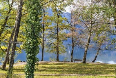 Fototapete Park und Natur