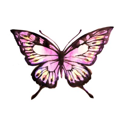 Fototapete Rosa zarter Schmetterling