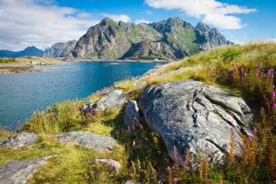 Skandinavische Wiesenlandschaft