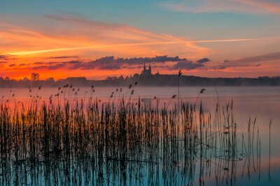 Fototapete Sonnenaufgang See und Pflanzen