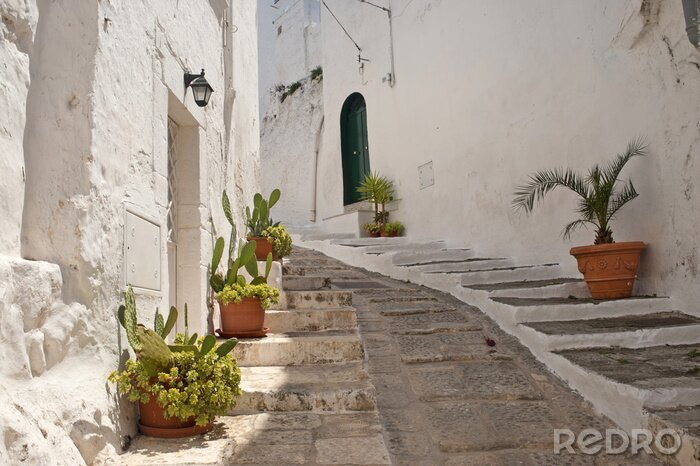 Fototapete Steile Gasse mit Kakteen