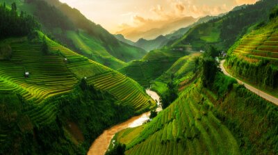 Fototapete Terrassenförmiges Reisfeld in Mu Cang Chai, Vietnam