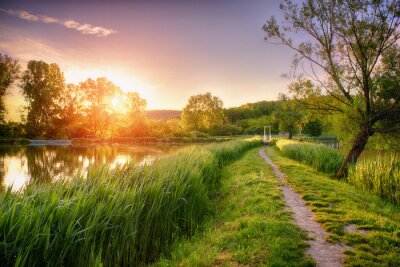 Fototapete Weg am Fluss