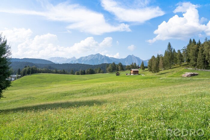 Fototapete Wiese vor dem Hintergrund der Alpen