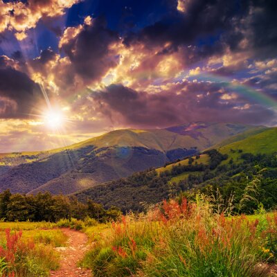 Abendliche Sonne über der Berglandschaft