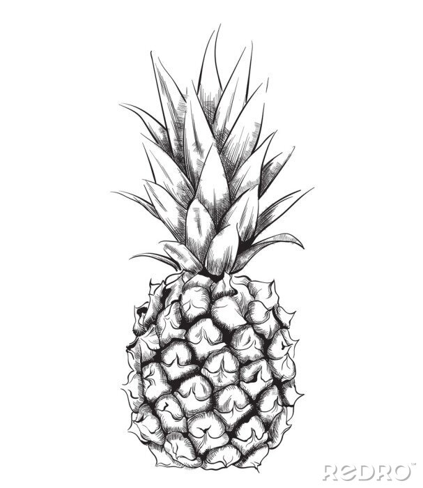 Poster Ananas im Lineart-Stil