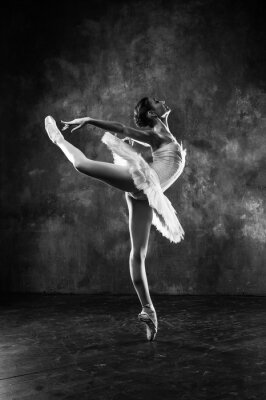 Poster Ballet dancer