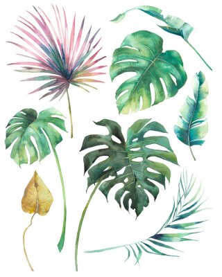 Poster Blätter der Monstera und bunte Palmen