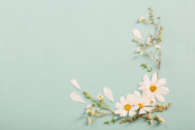 Blumen Gänseblümchen auf blauem Hintergrund