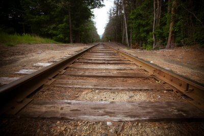 Poster Eisenbahnstrecke im Wald