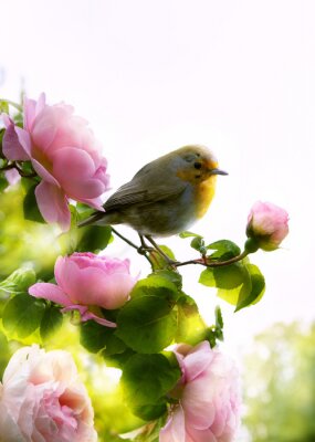 Poster Foto eines Vogels auf dem Ast