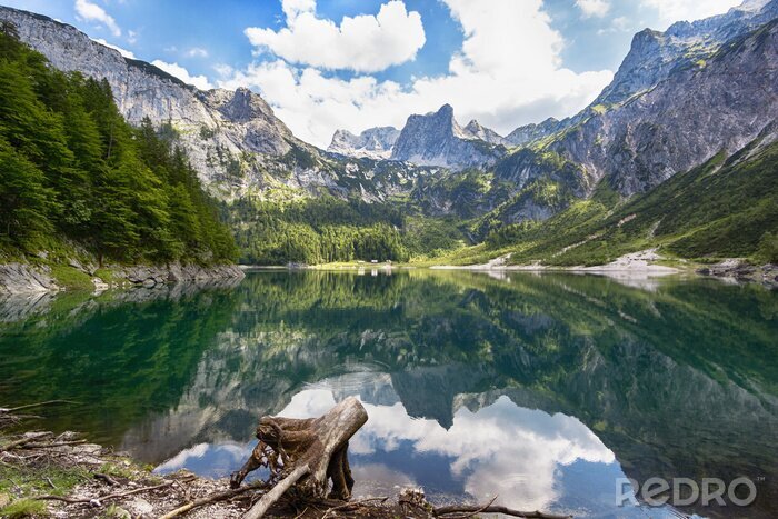 Poster Grün Berge und Natur