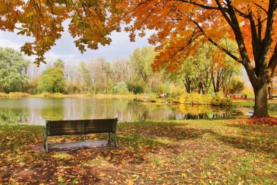 Poster Herbstfarben an einem kleinen Teich