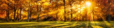 Herbstlandschaft im Park