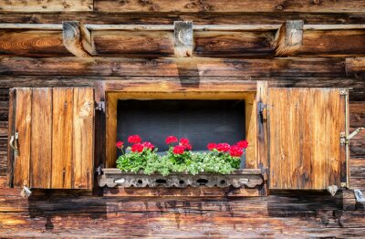 Holzfenster mit blumen