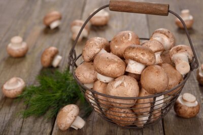 Poster Korb mit Champignons