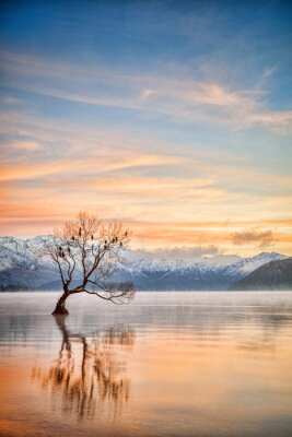 Poster Lake Wanaka Otago New Zealand