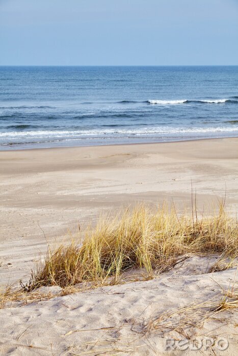 Poster Leerer Strand und ruhiges Meer