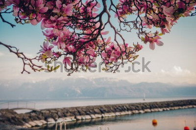 Poster Natur Berge blühend auf dem Hintergrund von Wasser