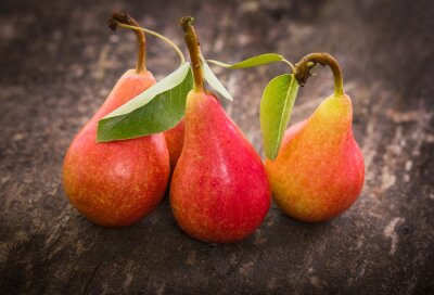 Poster Obst reife Birnen gepflückt