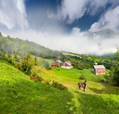 Pferd und Hütten auf dem Feld