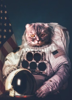 Poster Tier Astronaut Katze